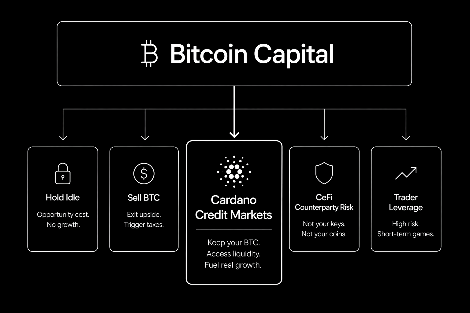 5. Bitcoin Idle Capital Funnel